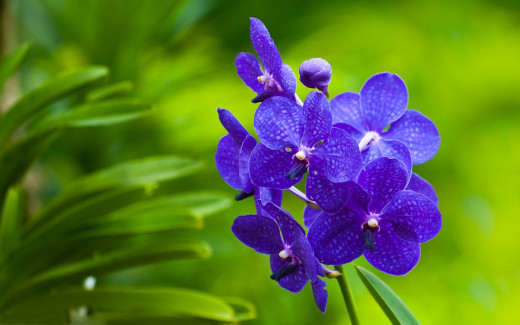 583644 (a): :1920x1200